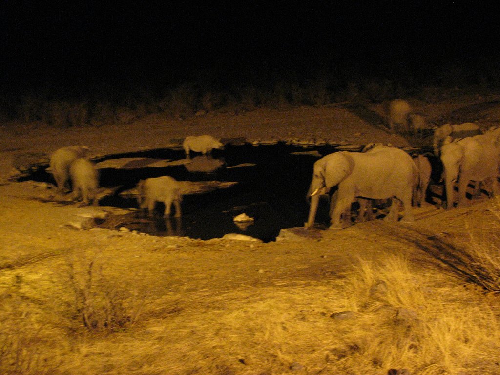Etosha Namibie waterhole