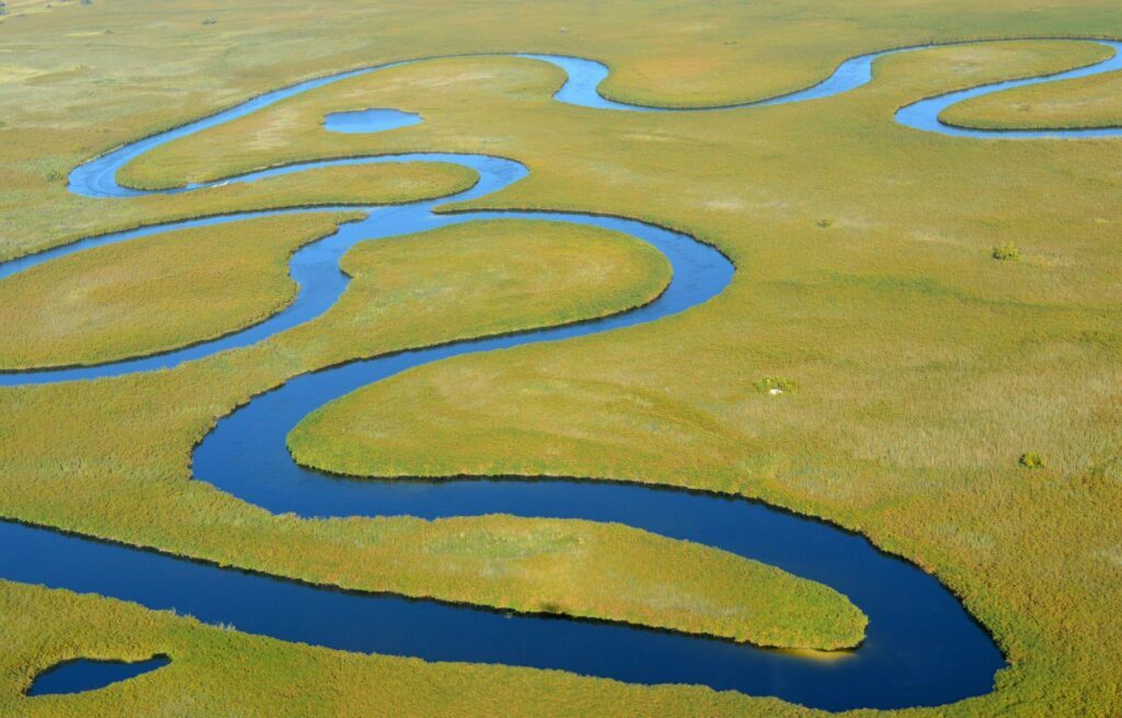 delta de l'okavango